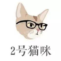 4只猫咪选一只, 一下看穿你的情感路哦!