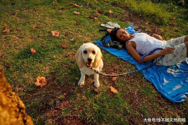 划重点! 养狗的人, 一定要确保做好这6点!