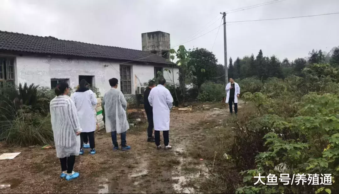 散户就一定被淘汰? 我觉得未必!