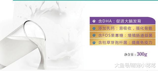 泰迪喝羊奶粉有哪些好处?