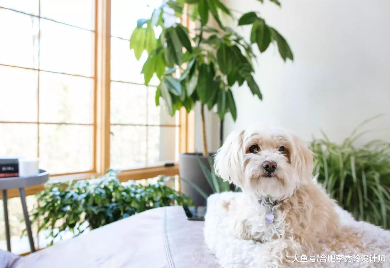浴室还能做水疗? 加热烘干玻璃墙, 朋友在合肥重装的房子还真潮流!