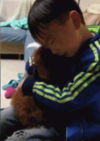 不小心踹到狗, 小男孩抱狗痛哭: “你骨折没, 让哥哥看看”