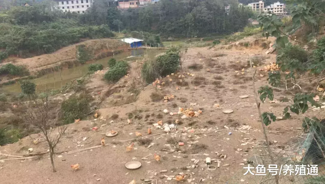 散户就一定被淘汰? 我觉得未必!