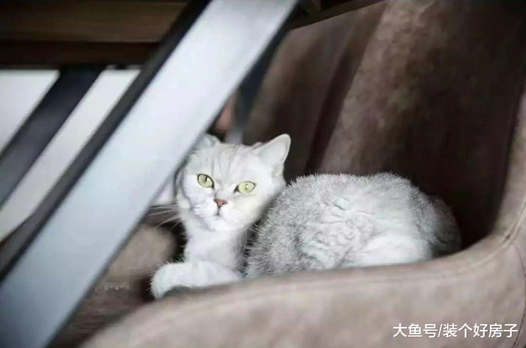 一对85后夫妻断舍离上瘾, 121㎡的家只有9件家具, 厨房和阳台也藏起来