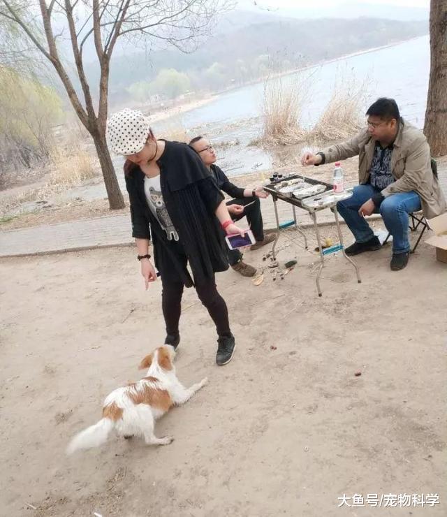 既然养了, 就要负责, 不要抛弃它们
