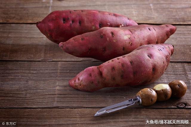 养狗小知识: 贵宾犬除了吃狗粮, 也能吃的5种食物!