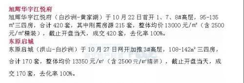 武汉楼事: 60万方长江主轴右岸规划 白沙洲凭何超强续航?