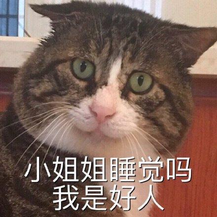 什么我要劝谏你不要和猫一起睡? 特别是女生