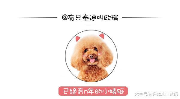 狗狗家里发生火灾时没有逃命, 反而「趴在女婴身上不愿离开」直到消防人员到场看到画面都惊呆了...