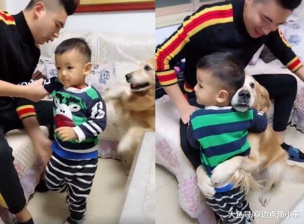 小主人犯错被爸打屁屁, 暖心金毛一把抱住他: 我保护你
