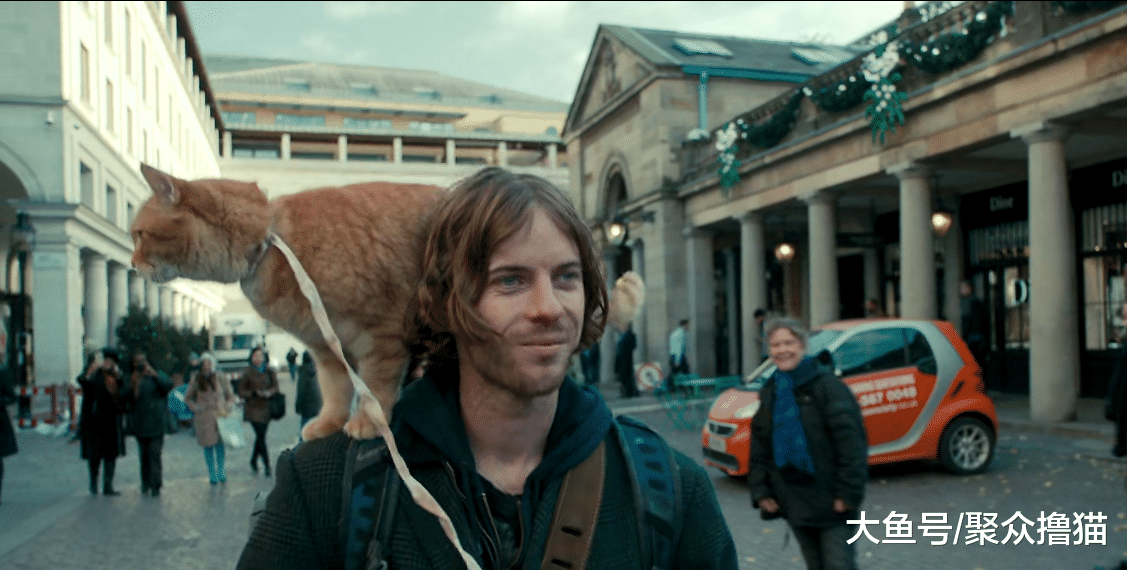 一只可以帮人戒毒的猫咪, 让人成功戒掉毒瘾, 转而成为吸猫患者