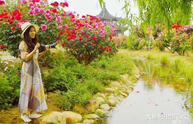 女人出生在阴历那个月, 不愁没钱花, 不愁没人爱, 更不容易变老
