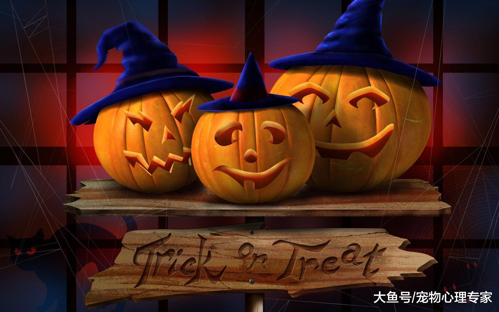 万圣节主人带着魔鬼面具吓二哈, 丈夫看到后: 人和狗总要疯一个