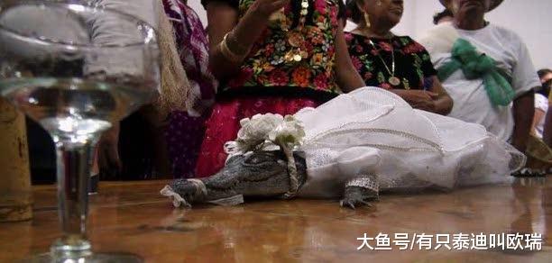 200年传统! 墨西哥市长必须「和母鳄鱼公主结婚」, 网友: 「怎麽洞房? 」