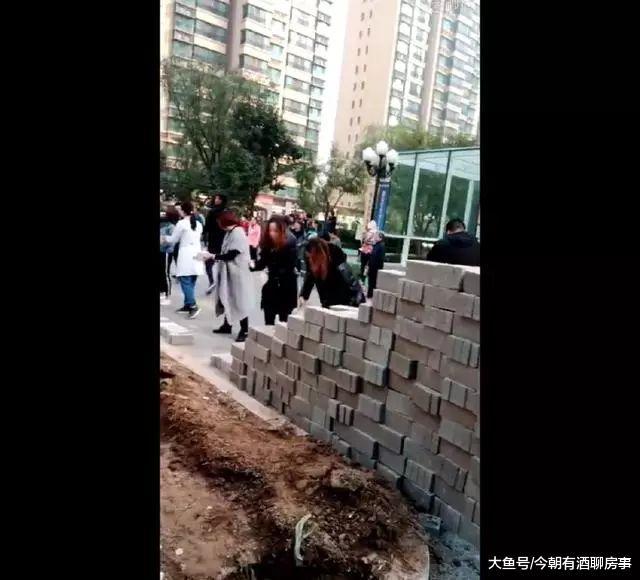 自建隔离墙, 别小看业主维护房价的决心