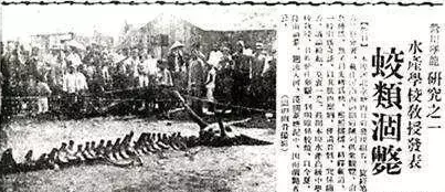 中国至今尚未破解的四大之谜, 你知道有哪几个?