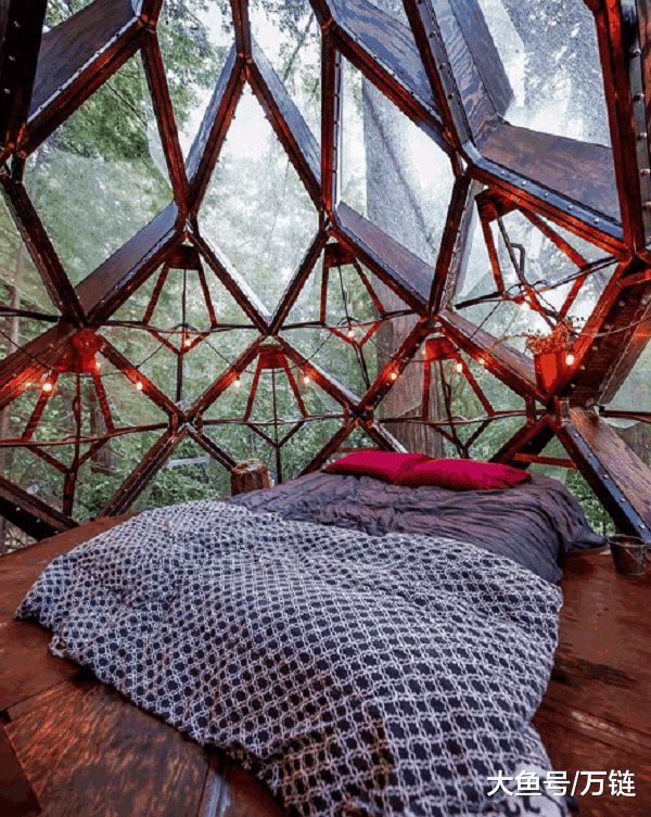 有人用33天失恋, 有人用33天造了个5.2吨的房挂树上