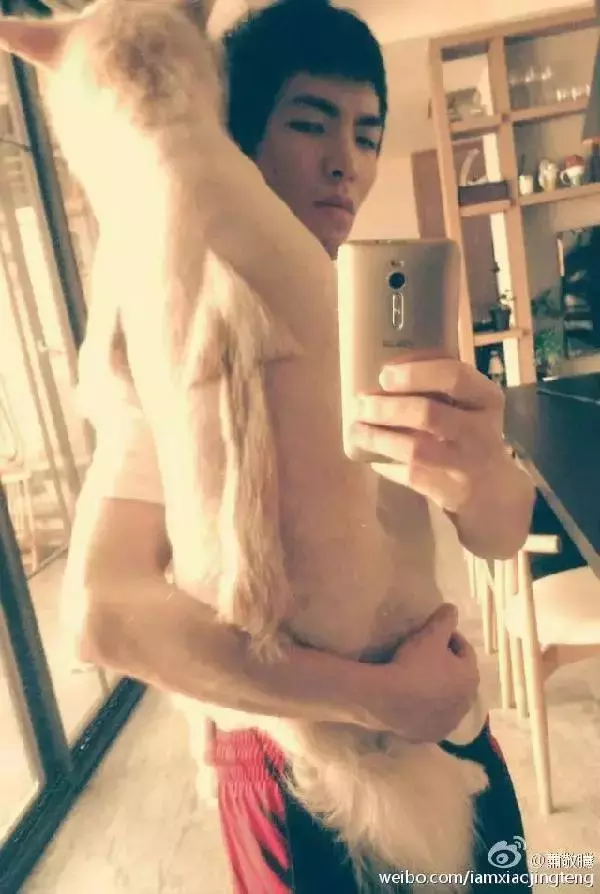 萧敬腾: 让领养代替买卖, 一点儿也不丢脸!