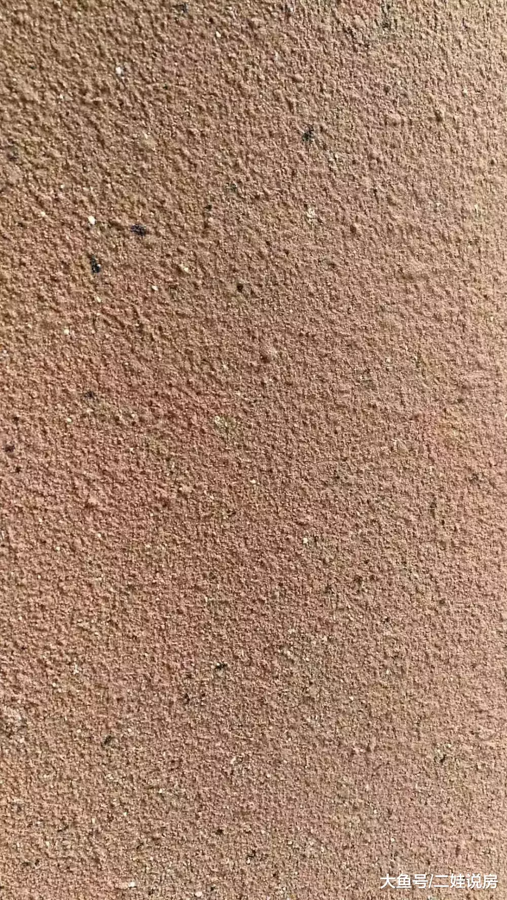 没想到, 增城这个楼盘, 质量如此渗人