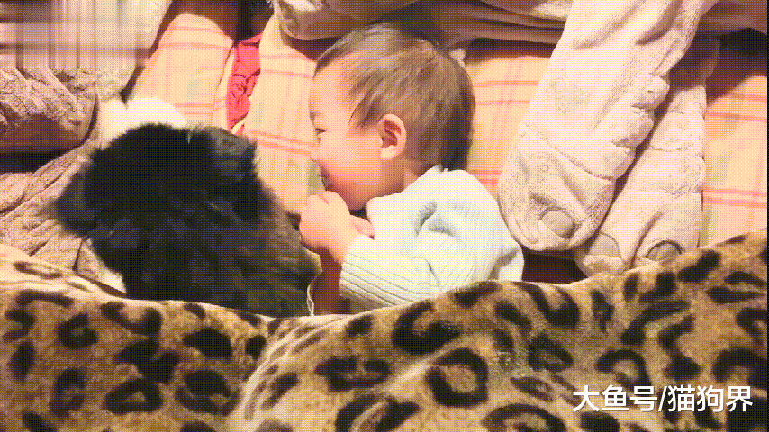 小主人跟阿拉可爱对话, 小主人: 你陪我长大~小阿拉: 我陪你变老