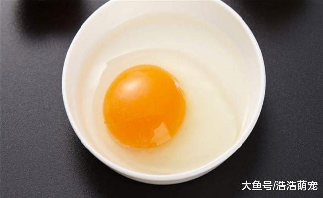 有5种食物不能给狗狗吃, 葡萄在内, 鸡骨头也不行