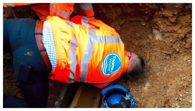 一群人把球场“掀了个底朝天”, 说地下有狗狗可以挖出来, 很急