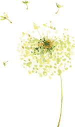 你家花瓶在唱歌, 还偷听你说话