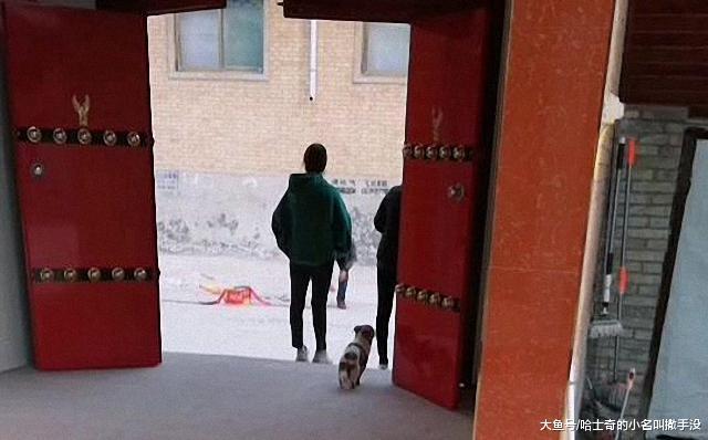 听到鞭炮响, 狗狗被吓得钻进下水道里, 哄了好久才敢出来
