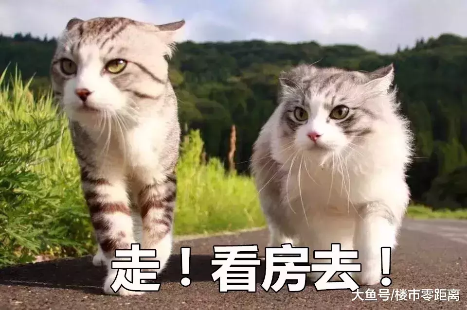 听说, 年末南京二手房正在跳水大甩卖, 直降50万! 60万! 100万!