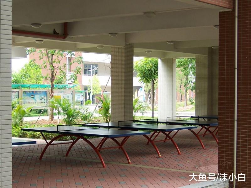 一楼采光差潮气重, 为啥表姐还抢着买? 看完才知, 我孤陋寡闻了!