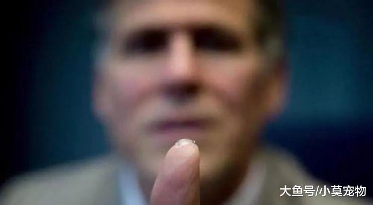 眼睛看东西越来越模糊? 你可能得了老花眼! 这5个误区一定要警惕