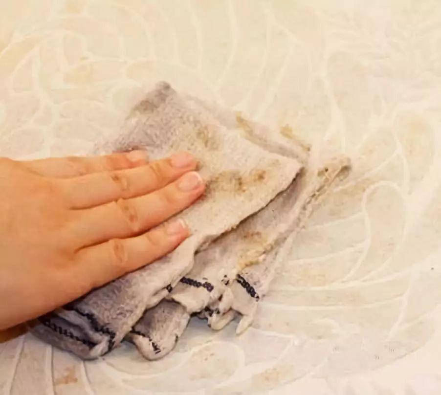 树知识丨壁纸经常发霉脱胶? 大树装饰教你如何保养