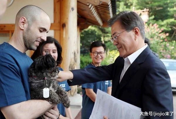 从餐桌食物到珍贵伙伴, 韩国摒弃吃狗肉文化, 狗肉产业接近崩溃
