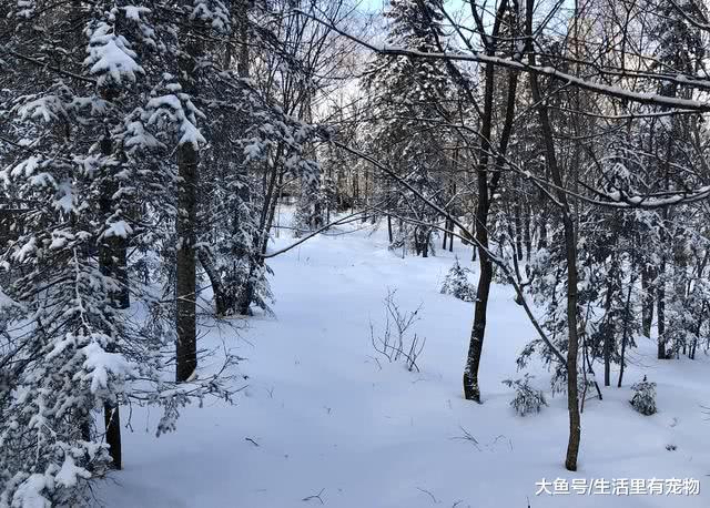 来自冬天的特殊礼物, 零下十几度瑟瑟发抖, 女友收到礼物感动哭!