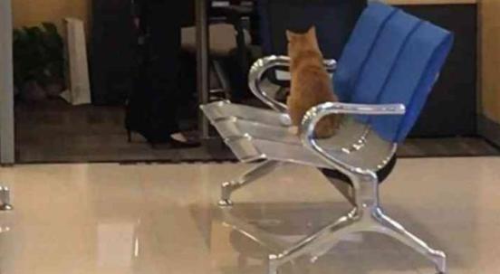 银行大厅出现“神秘顾客”, 大堂经理走过去: 小老弟, 你咋回事?