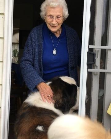 最萌身高差! 圣伯纳和蝴蝶犬每天背背玩不腻: 超有夫妻脸