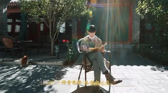 故宫加菲猫受邓伦宠溺关照, 在宫廷猫咪中脱颖而出, 受众猫羡慕!