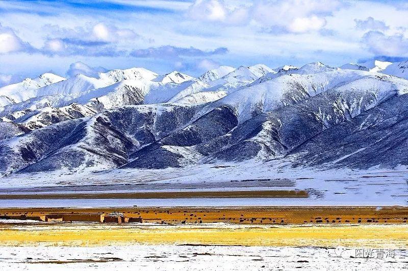 当青海的秋遇见雪