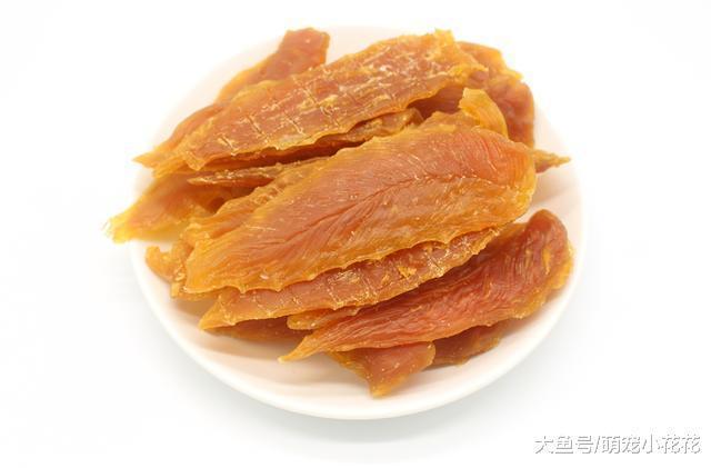 这6种食物, 千万不要让泰迪犬吃, 足以致命!