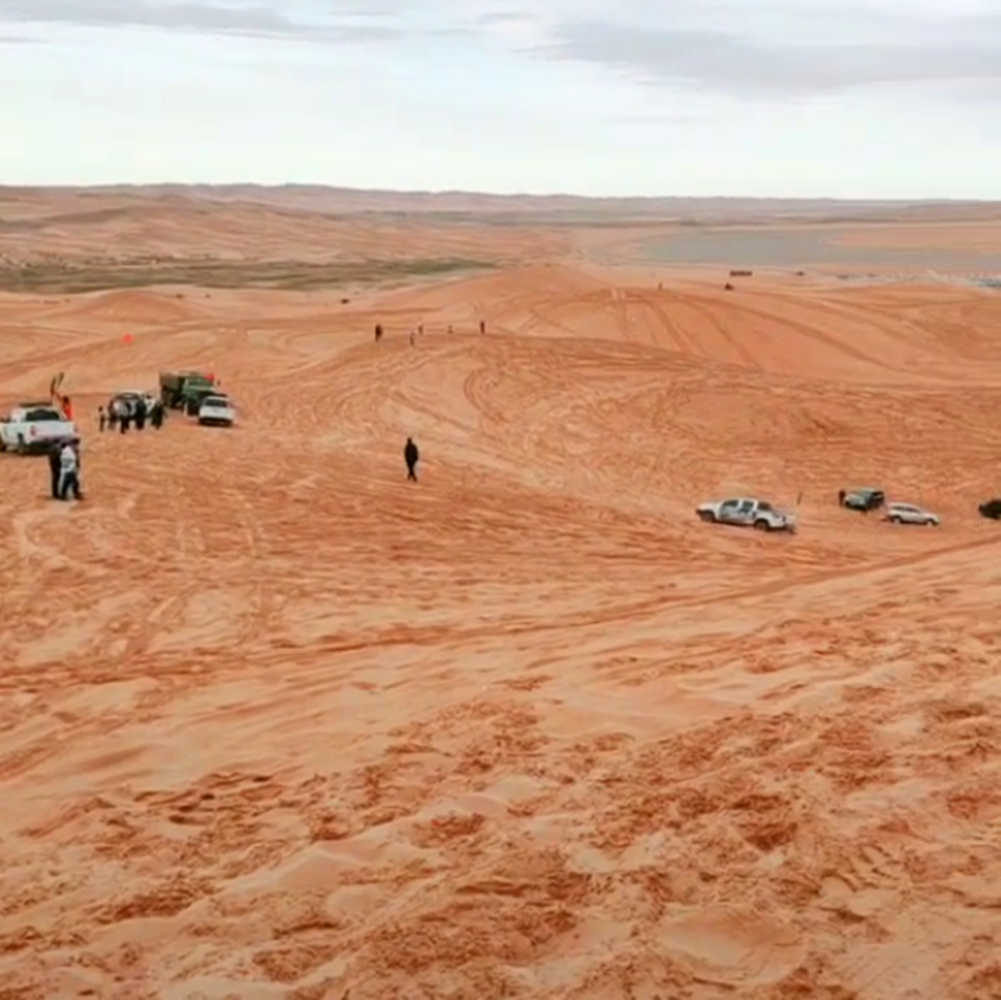 主人带着爱犬去大漠旅行, 车陷沙坑出不来, 狗子的做法暖心了……