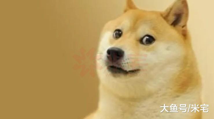 单身也要收税? 古往今来, 奇葩税种大解析。