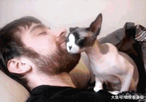 猫咪都是怎么和你挤一张床的? 不瞒你说, 我猫经常睡我脸上!