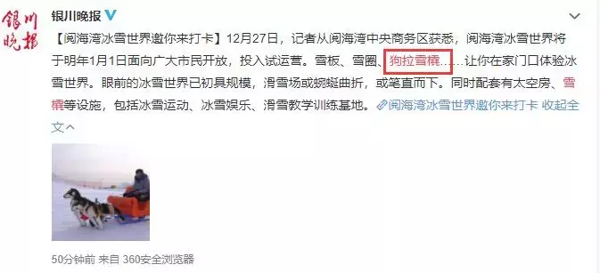 2019年, “狗拉雪橇”, 请消失!