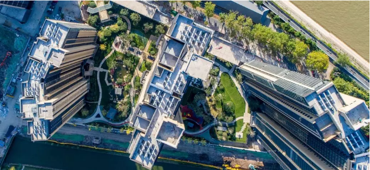 实景现房也会母鸡变鸭? 深业滨江半岛绿化交付, 业主傻眼