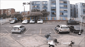 比特犬没有狗绳, 遇到邻居小孩后“猖狂”了, 差点酿成大悲剧!