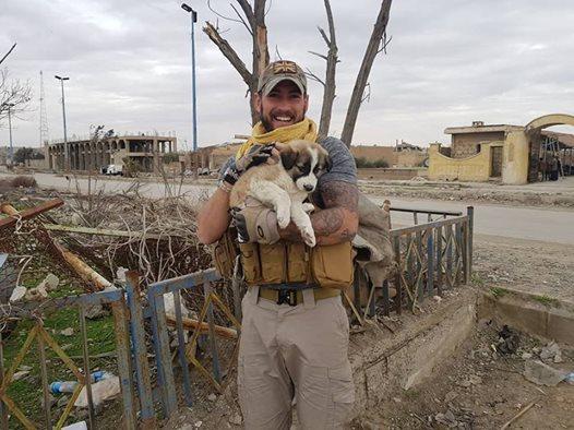 叙利亚小狗在战乱中幸存, 飞越3000KM寻主, 时隔七月重逢让人流泪