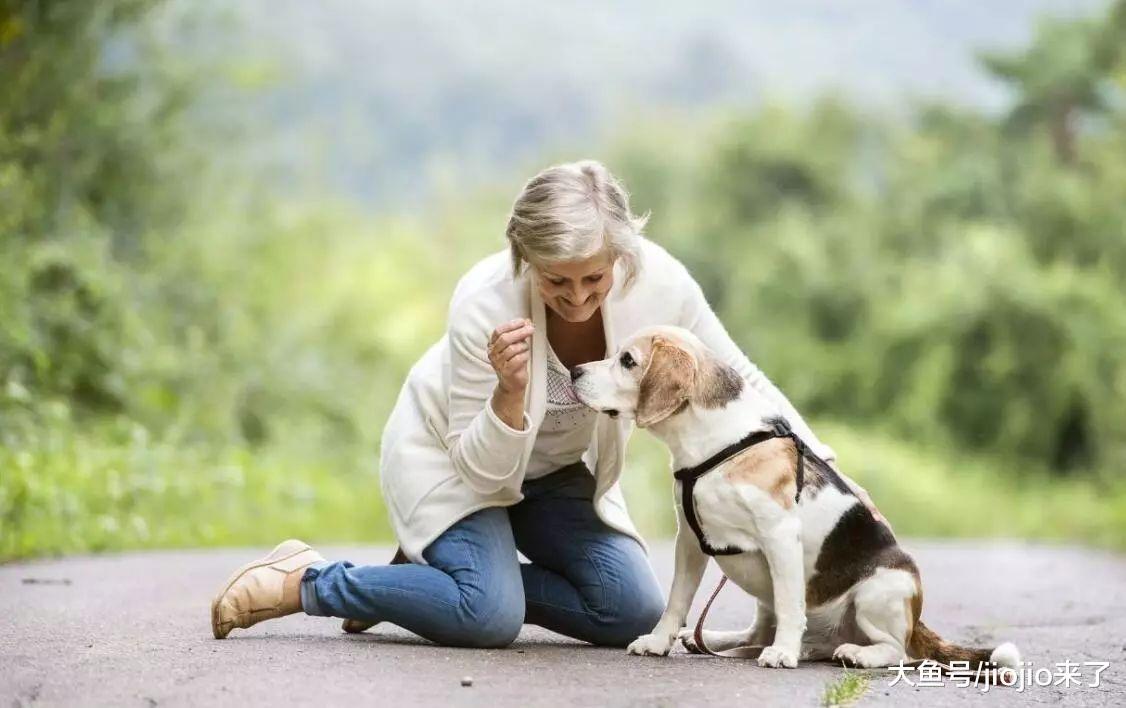 如何养一只健康长寿的狗狗? 这些知识点要拿小本本记好了!