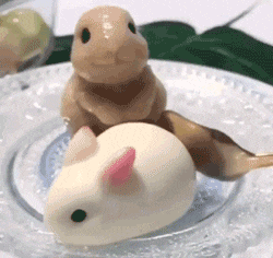 兔兔那么可爱为什么要吃兔兔