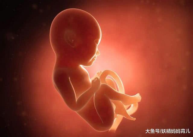 九十天男孩的胎儿图图片