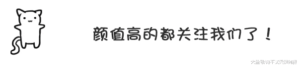 泰迪犬这5种睡姿, 能够直接反映出你和它感情的好坏!
